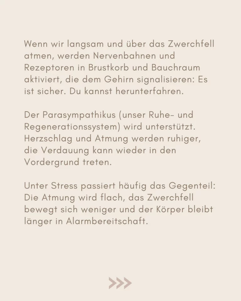 Instagram post from theresa_ganzheitlich_gesund. This post is in position 2.